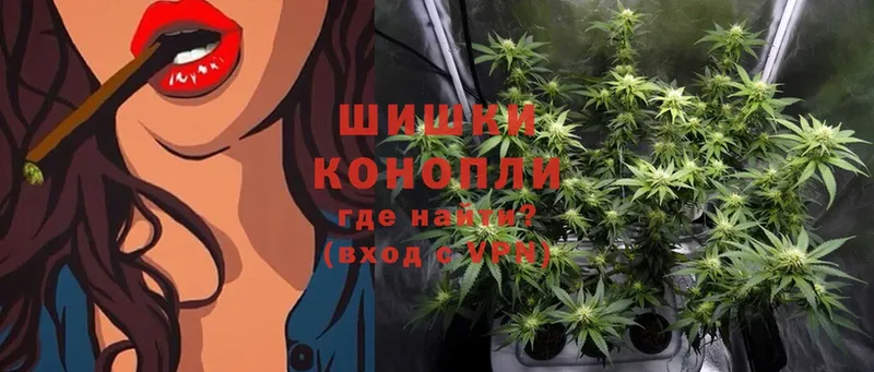 Бошки марихуана White Widow  Новороссийск 